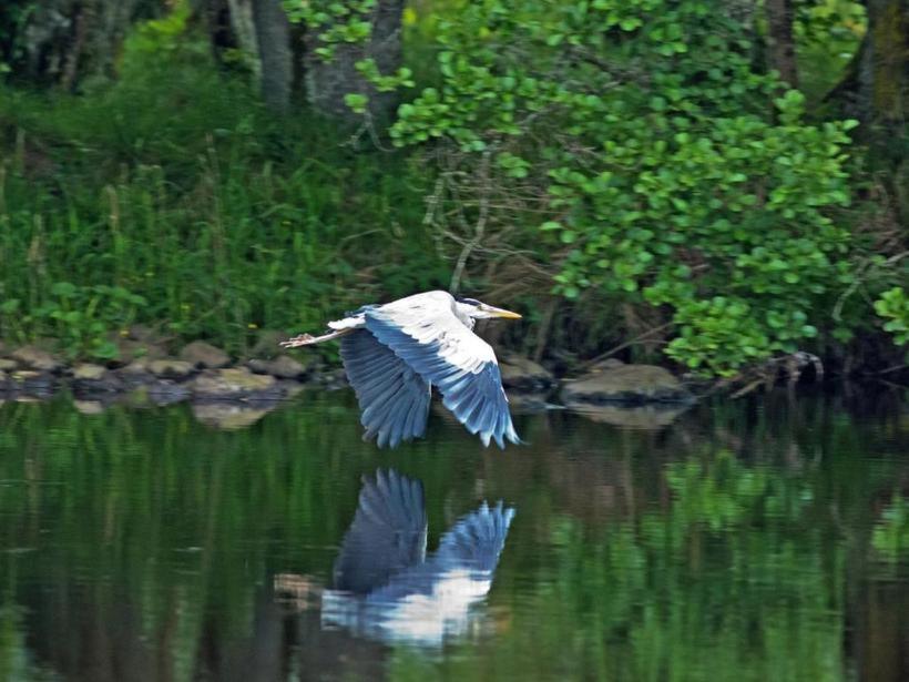 Herons Rest ドラムナドロッキット エクステリア 写真